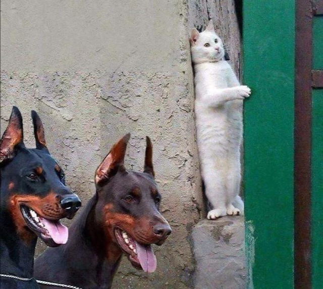 no title