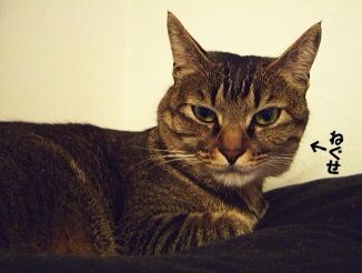 20130222181935_478_1