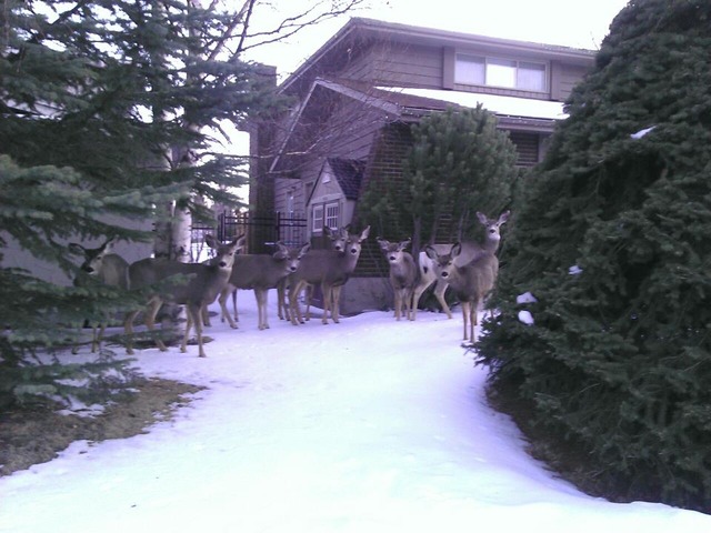 20130321223021_275_2