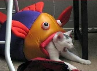 no title
