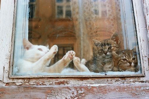 20130222181935_393_1