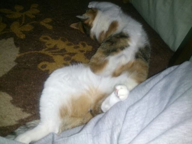 20130222181935_595_1