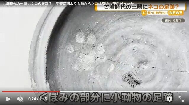 1600年前の日本の土器文明の時にネコがいた？土器にネコの足跡