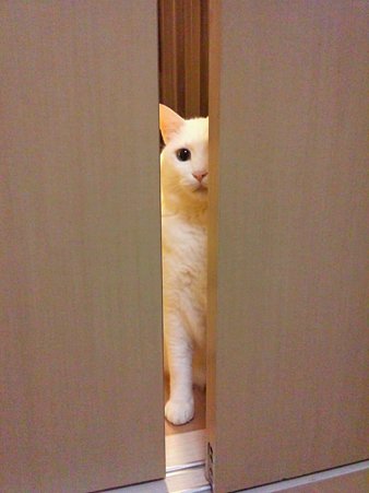 20130512203007_602_7