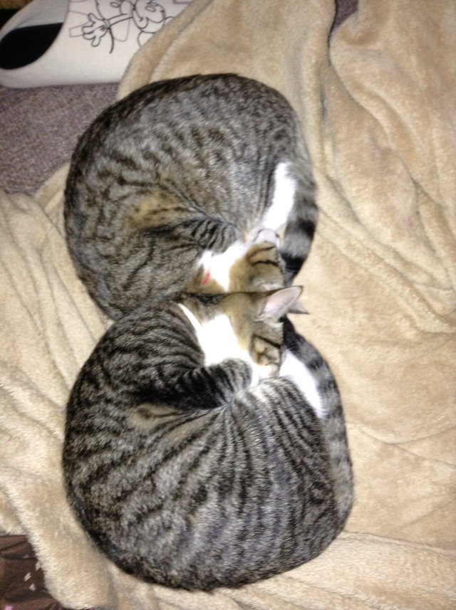 20130222181935_520_1