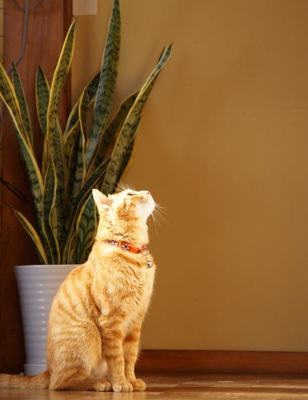 20130222181935_676_1