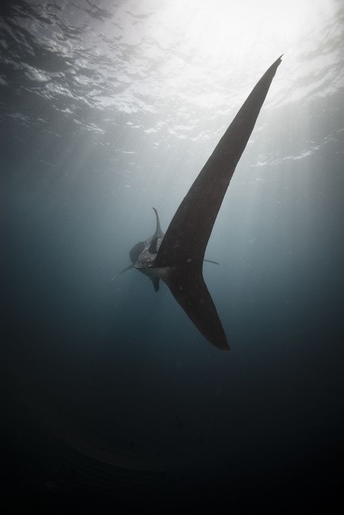 20130605170802_125_9