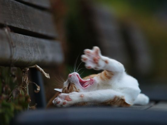 20130222181935_748_3