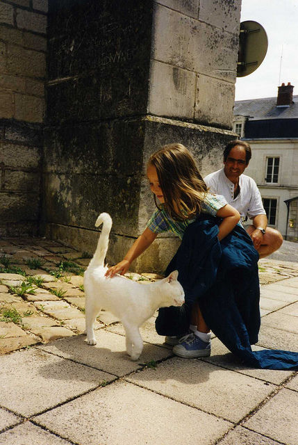 20130222181935_811_1