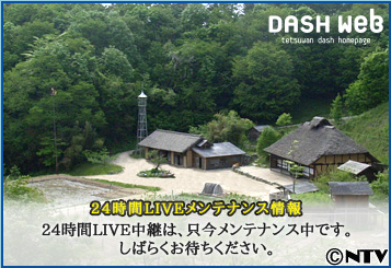 ダッシュ村