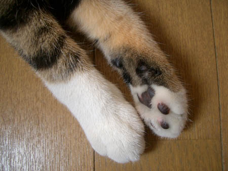 20130222181935_761_2