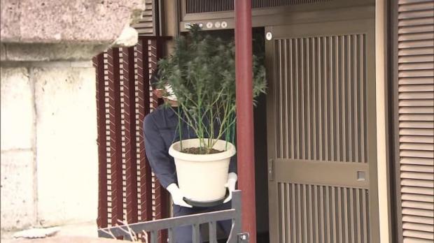 【群馬】大麻草５００鉢を民家で栽培　グエン容疑者ら１０人逮捕　営利目的での栽培と見られる