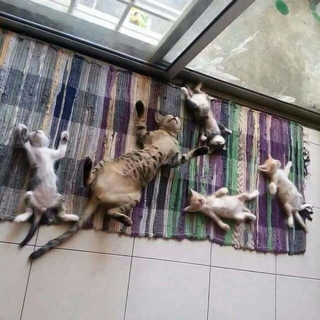 no title