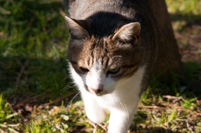 20130222181935_463_2