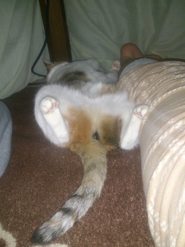 20130222181935_707_1