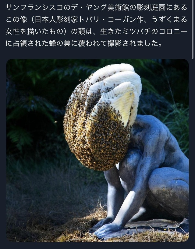 【悲報】人型の彫刻に蜂の巣が作られた結果、化け物みたいになってしまうｗｗｗｗｗｗｗｗｗｗｗ