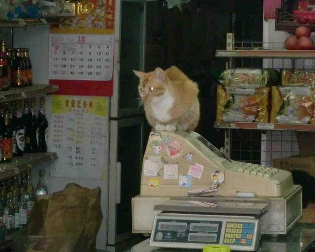 91_2