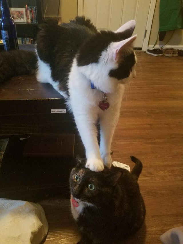 no title