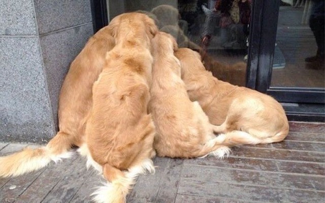 no title