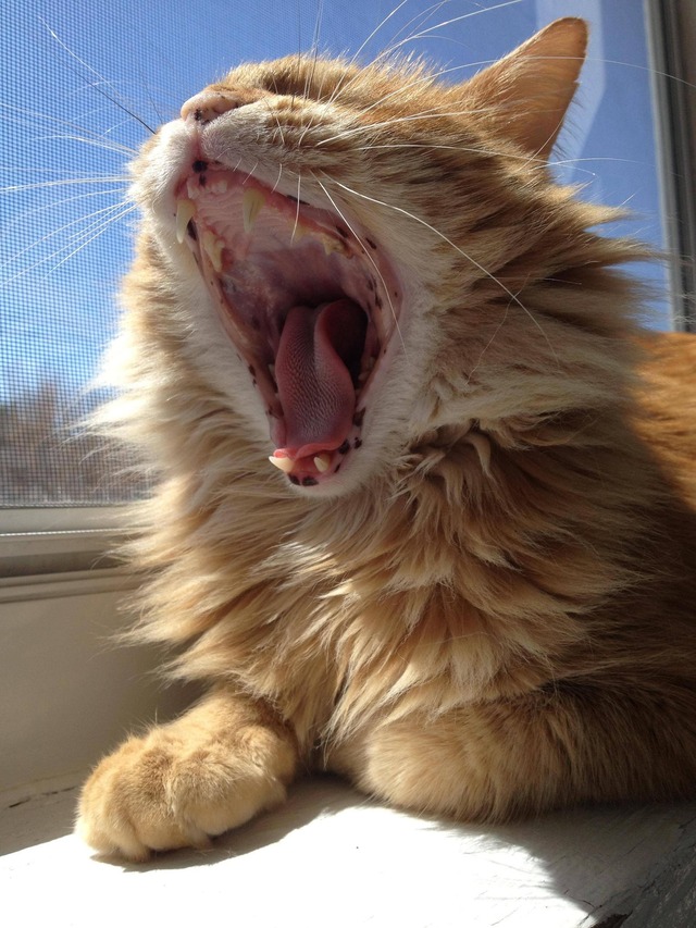 20130605170802_125_4