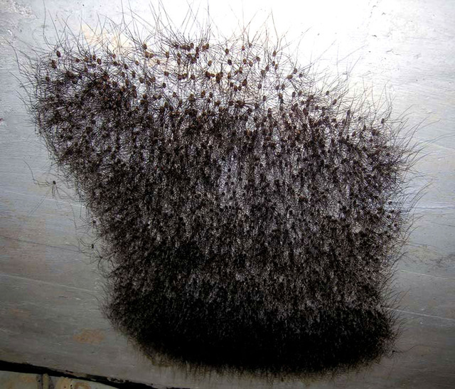 20130325122133_129_1