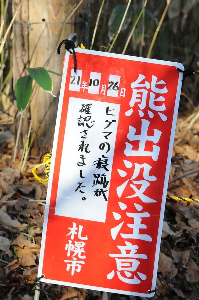 【悲報】ヒグマ「なぜ殺した」、苦情400件以上殺到