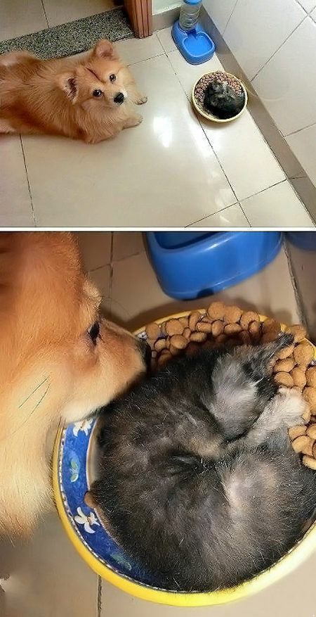 20130222181935_660_1