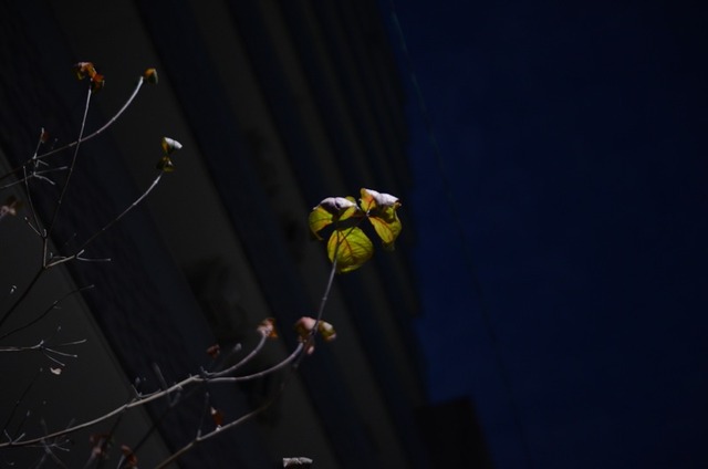 134_1