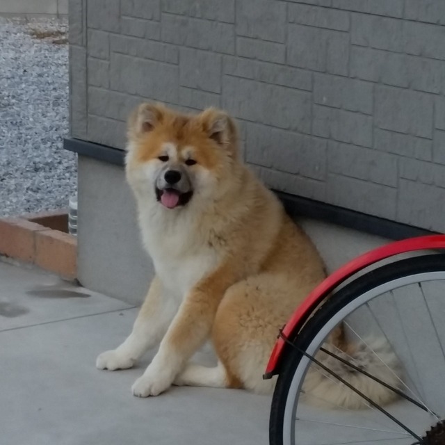 no title