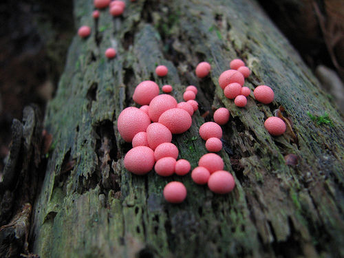 20121227043629_276_6