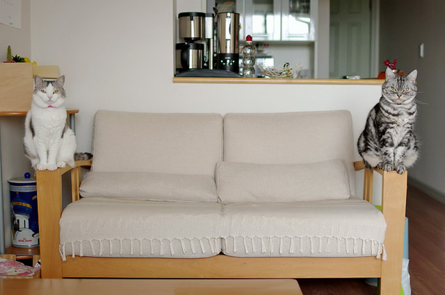 20130222181935_323_1