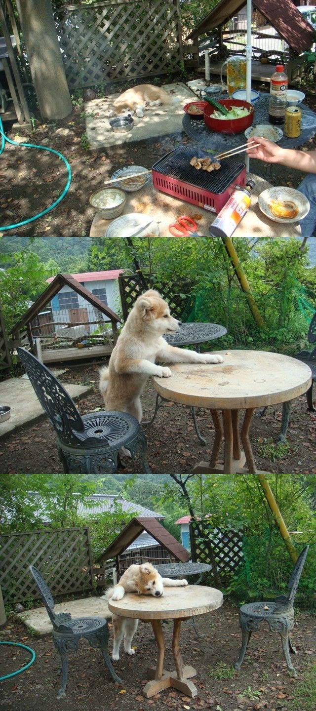 20130321211706_164_1