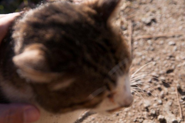 20130222181935_463_3