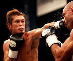 【徹底】どうして日本人はボクシング以外の格闘技では世界一になれないのか？【討論】