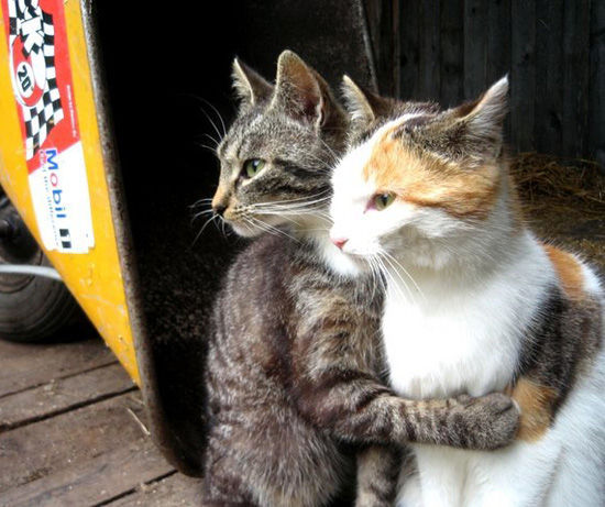 20130222181935_757_1