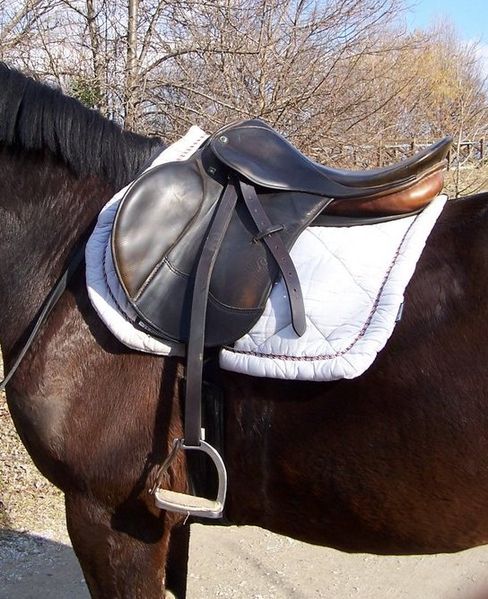 488px-English_saddle