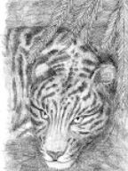 20130610174522_53_1