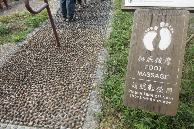 HK_Hiking_December_2018_IX2_102_Trail
