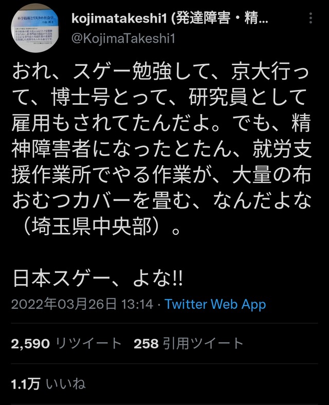【悲報】京大博士号の元研究者「精神障害になって今はおむつカバーを畳んでます」←日本ヤバすぎでは？