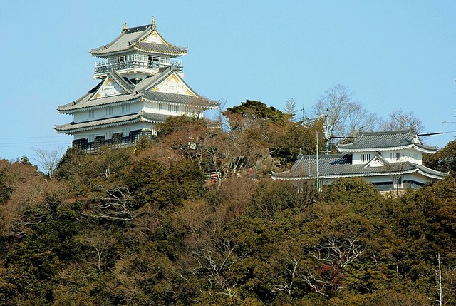 Gifu_Castle