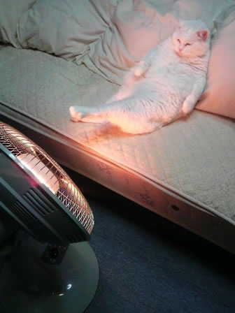 20130512203007_602_13