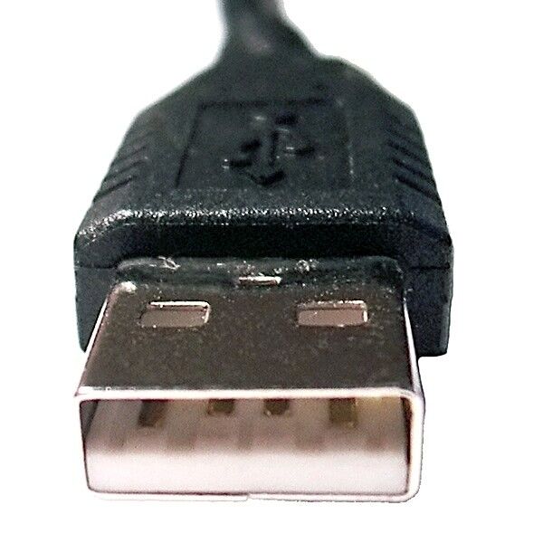USB_Male_Plug_Type_A