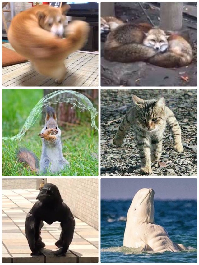 no title
