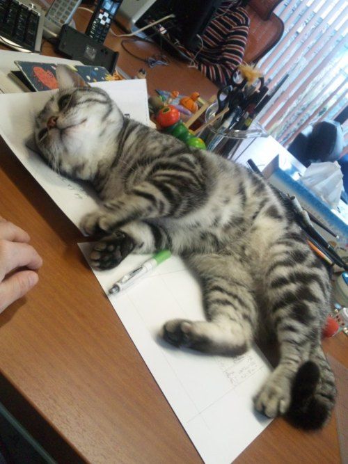 20130222181935_370_1