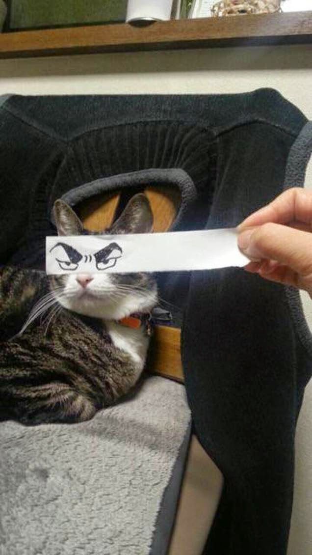 no title