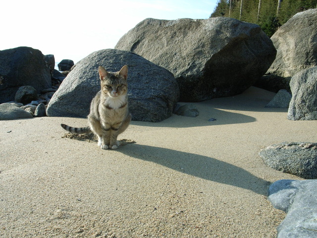 20130222181935_639_1