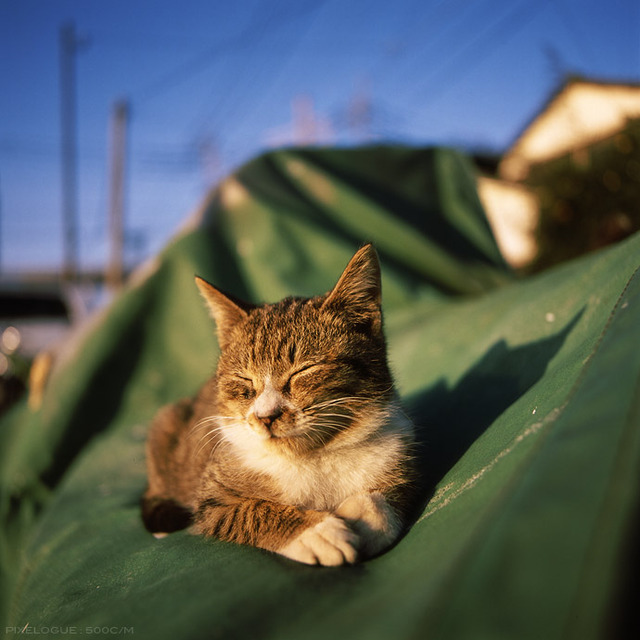 20130222181935_786_1