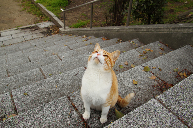 20130222181935_532_1