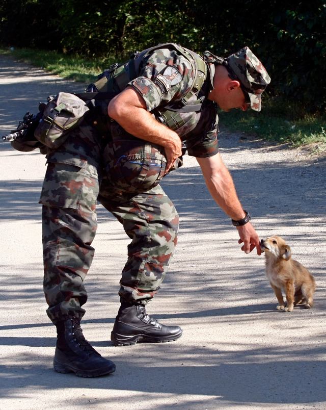 兵士と犬