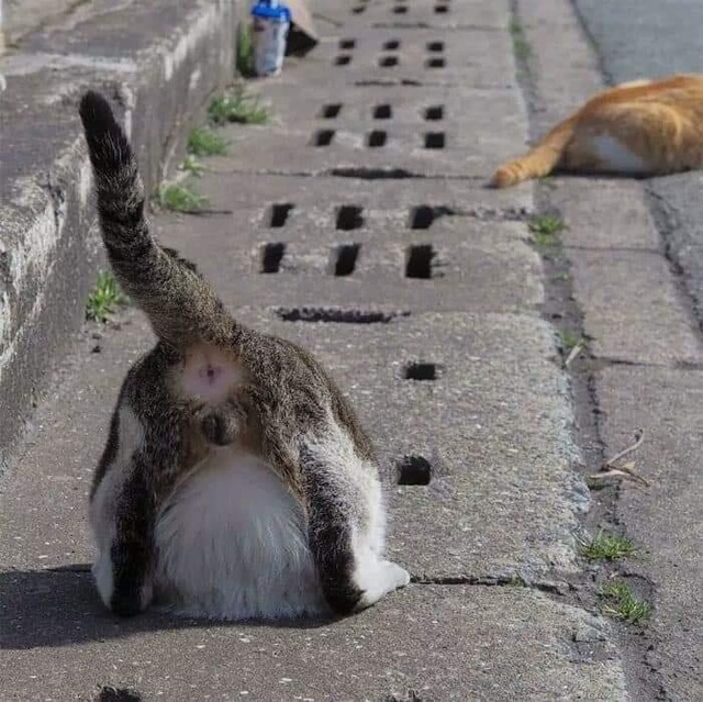 no title